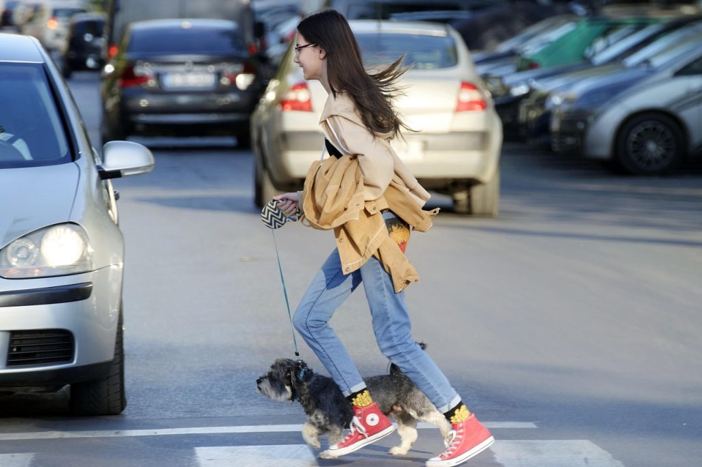 girl, child, teenager, dog, pet, small, leash, running, pedestrians, street, animal, cars, traffic, urban, city, crossing, clothes, hurry, snapshot, street photography