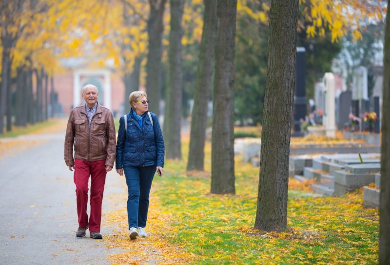 senior couple walking in park like cemetery graveyard in austrian zentralfriedhof in vienna with graves tombstones all saints day series atumn november